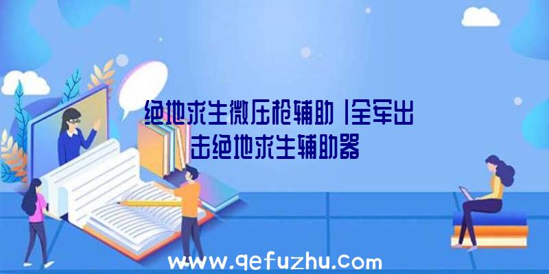 「绝地求生微压枪辅助」|全军出击绝地求生辅助器